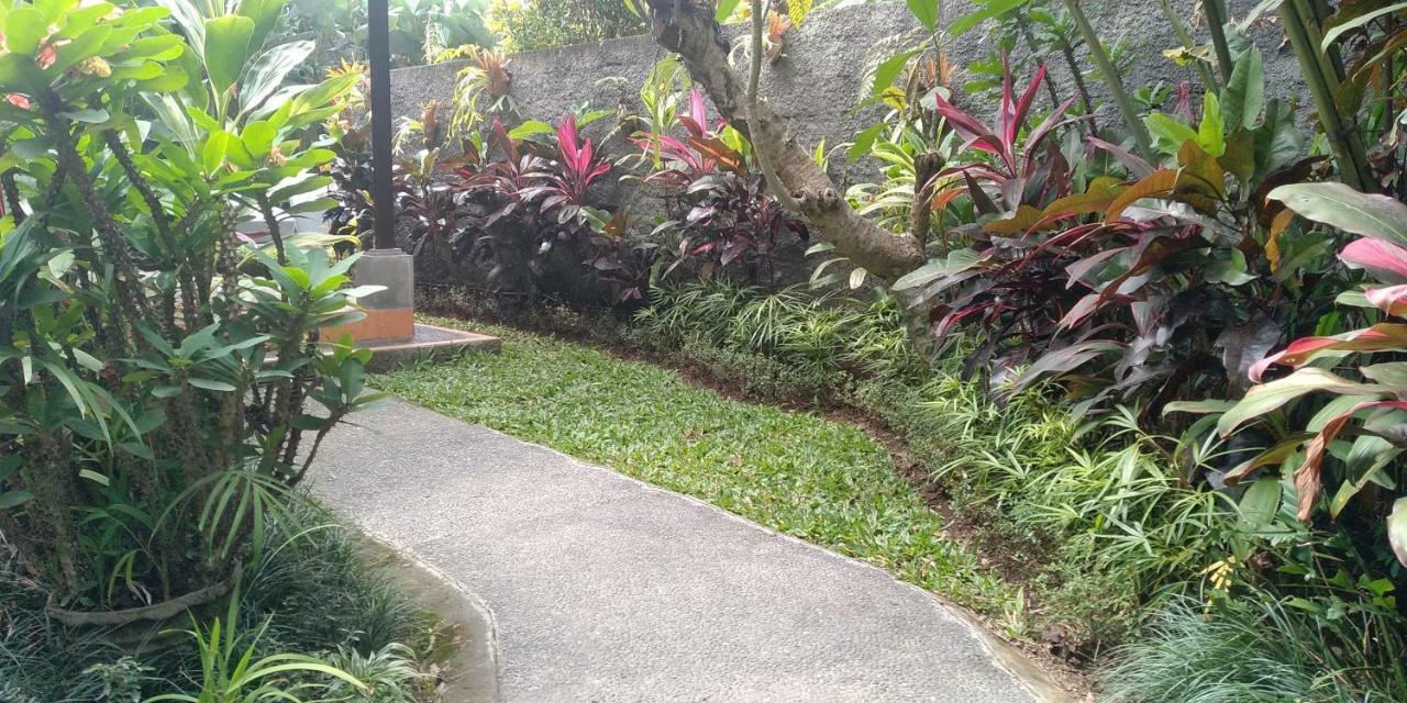 Dedik House Villa Ubud Eksteriør bilde